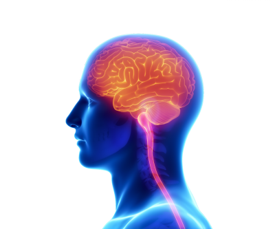 Brain Profile